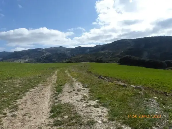 Finca Rustica en Ronda 52 Hectareas
