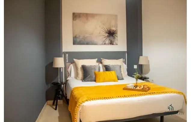 Apartamento Malaga Centro Historico 1 Dormitorio 49m2
