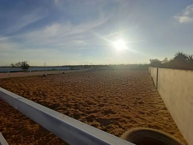 Venta Finca Balsicas Torre Pacheco Club Hipico
