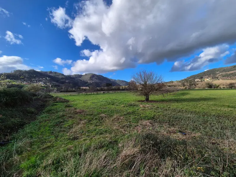 Venta Finca Rustica en Grado