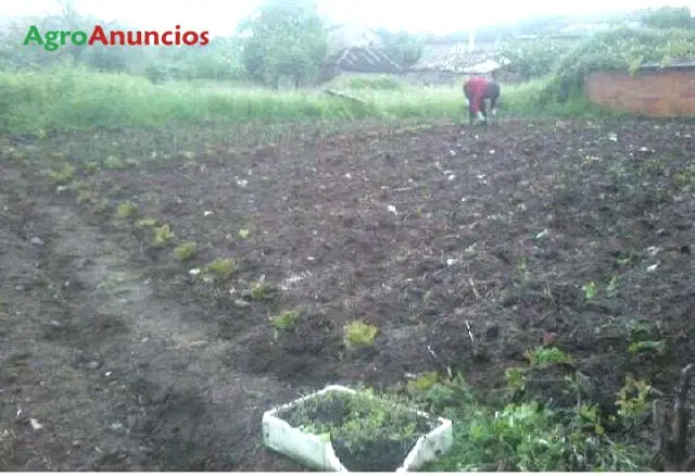 Venta  de Casa con finca y horno de leña en Lugo