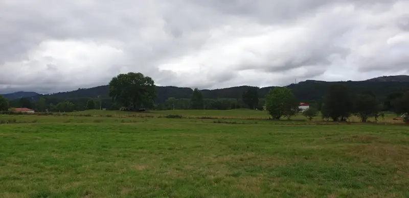 Venta Terreno en Mazcuerras 3937m2