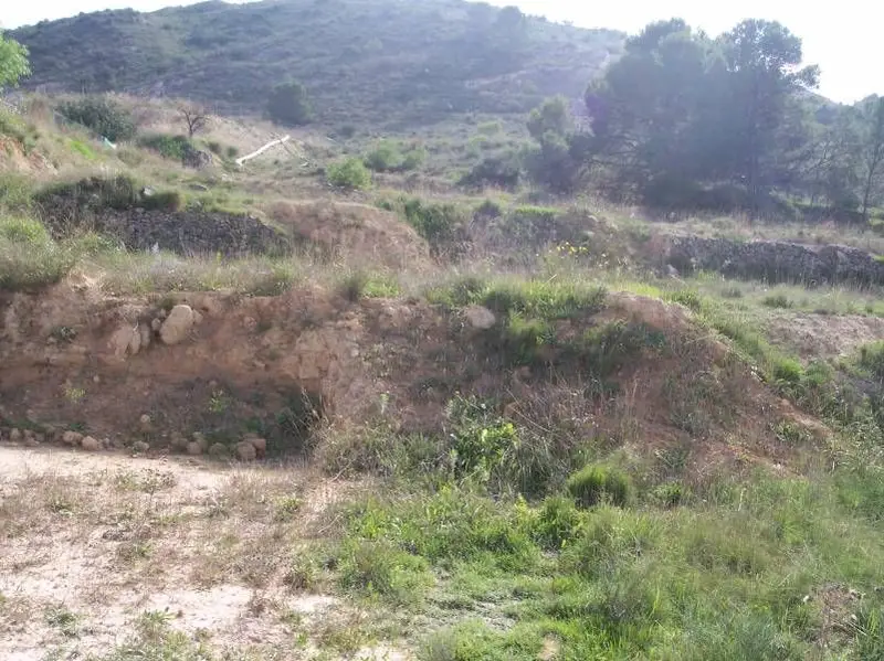 Venta Terreno Rural en Aspe
