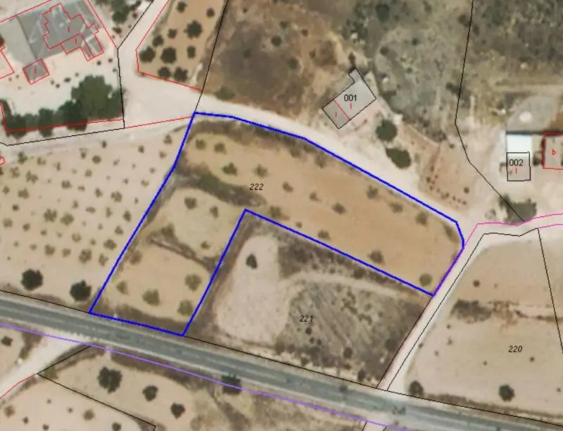 Terreno Agricola Jumilla 3350m2 Almendros