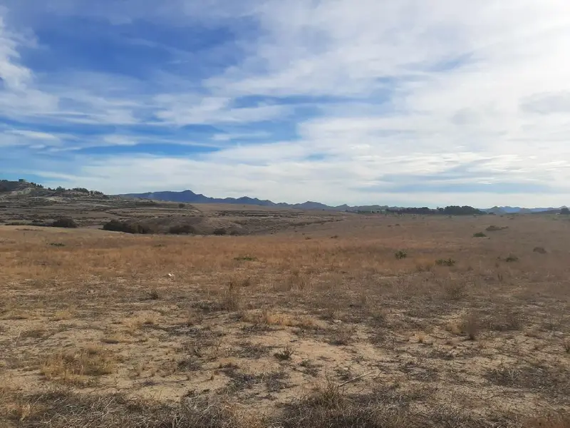 Parcela de Lujo en Consejero Lorca 41000m2 6 Chalets