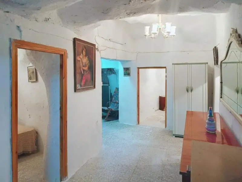 Venta Casa Cueva con Chimenea en Pinoso 5 Dormitorios