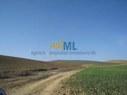 Venta Finca 400 Hectareas Cadiz Subvencion