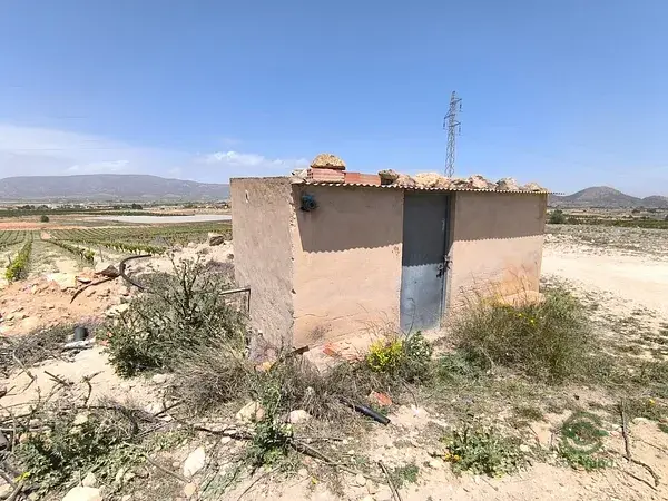 Huerto Ecológico con Parcela Edificable en Monóvar Alicante