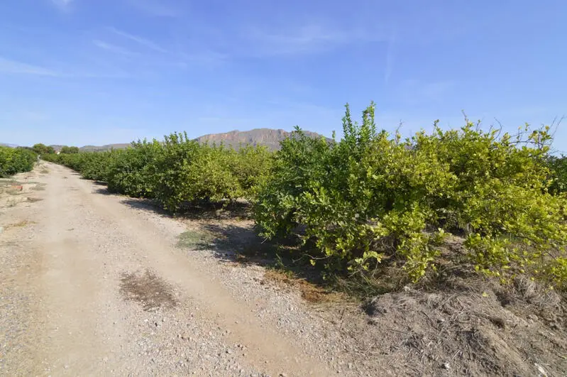 Terreno Rustico en Venta Santomera Murcia 5427m2