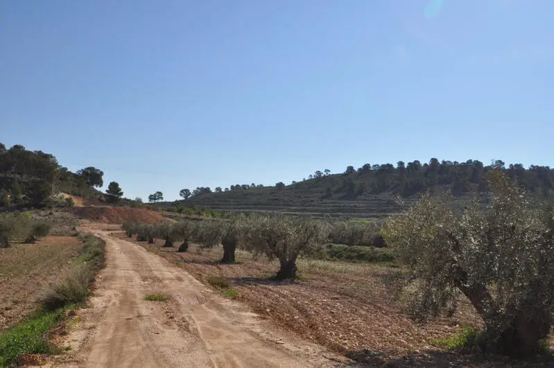 Parcelas en Venta La Zarza - Construccion Permitida