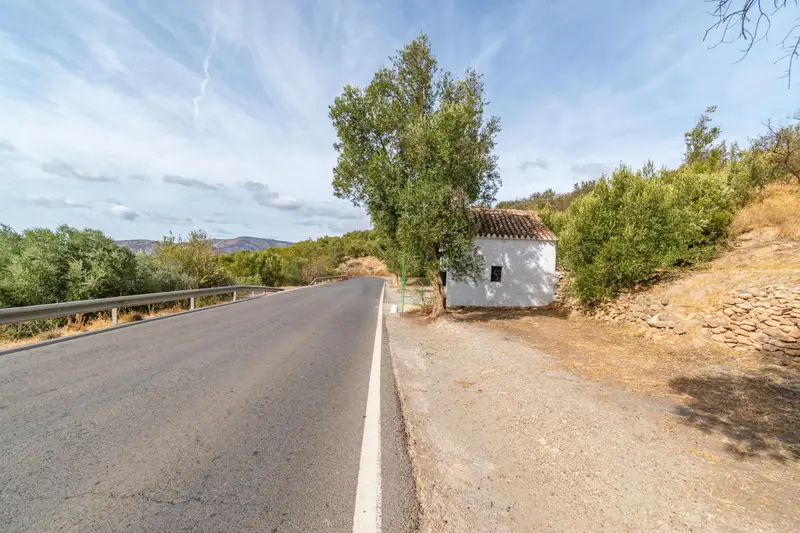 Venta Finca con Ermita Histórica en Orgiva