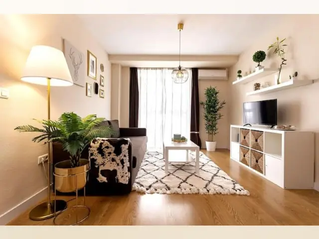 Apartamento 4 Dormitorios Malaga Centro