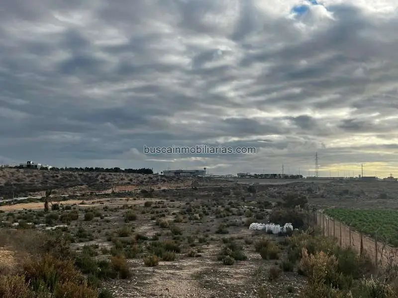 Parcela Rustica en Venta Elche Pena las Aguilas