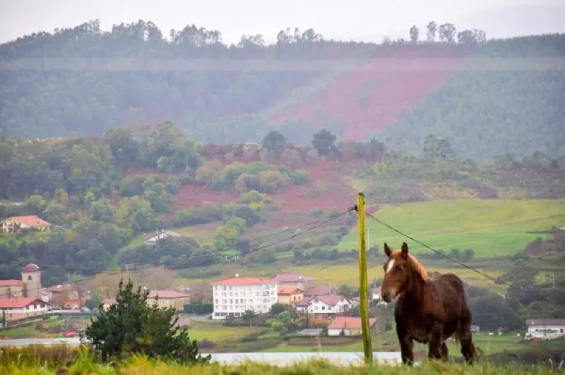 Venta Terreno en Landa, Urdúliz - Ref: 944