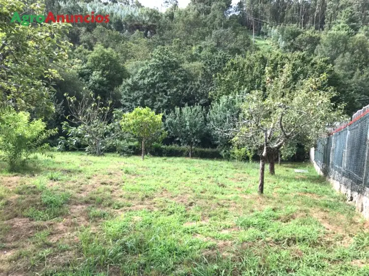 Venta  de Finca rustica con arboles frutales en A Coruña