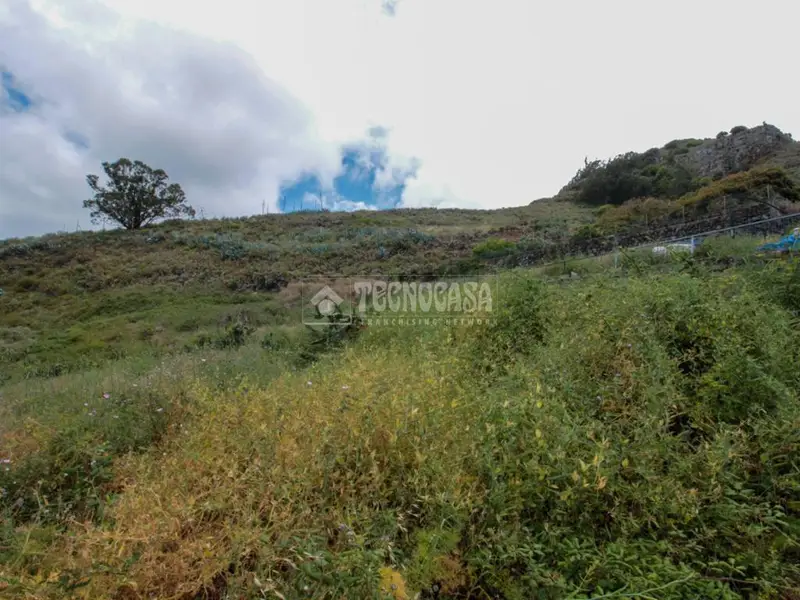 Terreno Rustico en Venta Tegueste Tenerife 1936m2