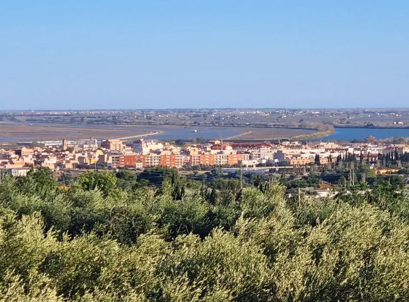 Finca Rustica en Venta Amposta Tarragona