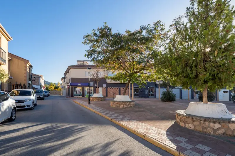 Venta Local Comercial Centro Otura 133m2