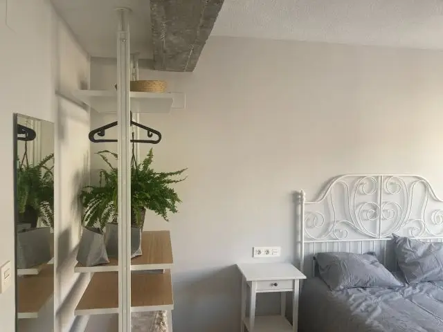 Habitacion Alquiler Alicante Estudiantes Chicas