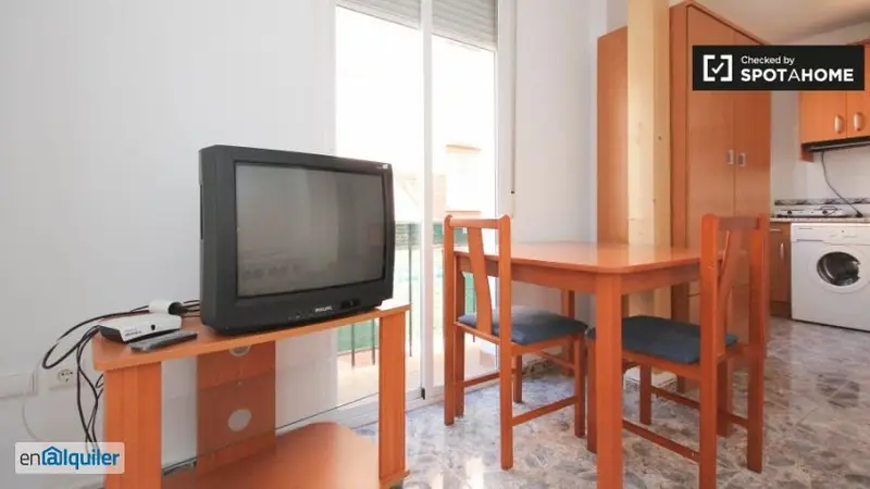 Estudio con Balcón en Centro de Granada
