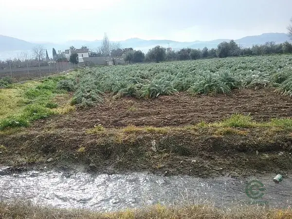 Haza de Cultivo 1530m2 Regadío Zaidín Granada