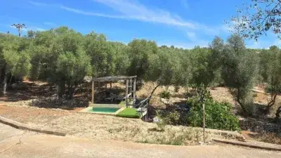 Casa Rustica en Alquiler Sa Cabaneta