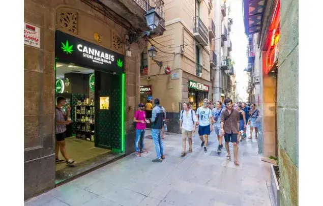 Estudio con Encanto en Barcelona: 40m², Balcón y Decoración Vibrante
