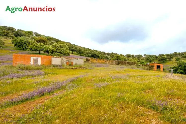 Venta  de Finca de recreo en Madrid