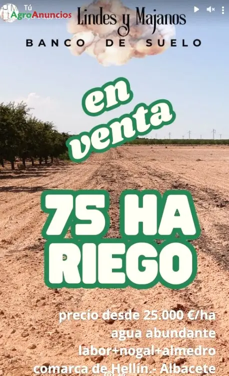 Venta Finca Regadío Hellín Albacete