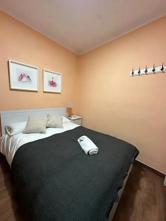 Apartamento en Alquiler Madrid 1 Dormitorio 1 Ba	no