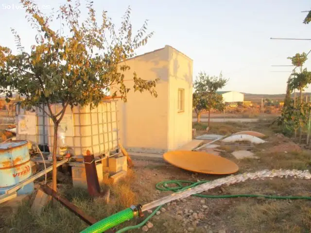 Parcela en Almansa Cerca del Casco Urbano