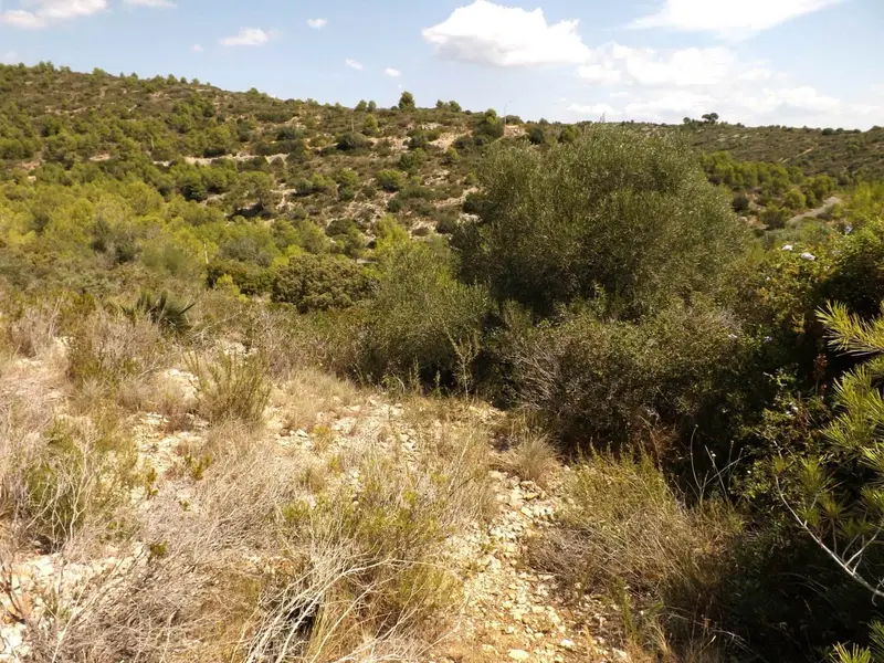 Solar/Parcela en venta en Segur de Calafell, Calafell, Tarragona