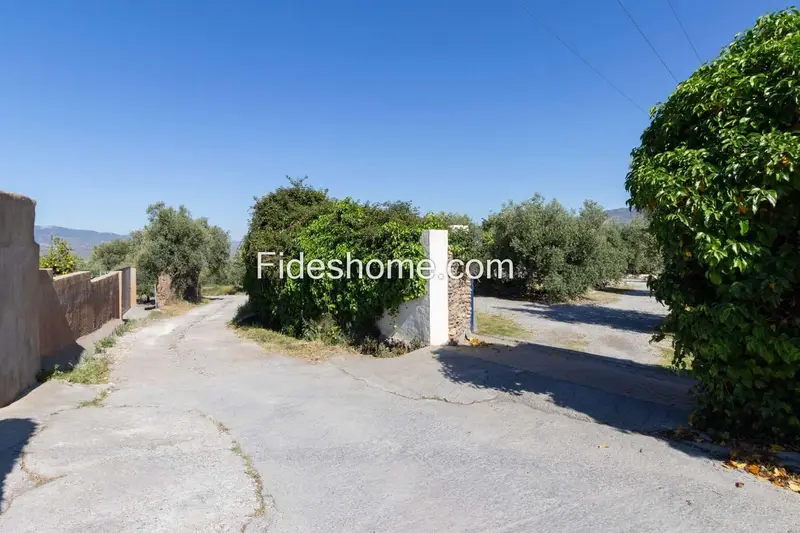 Finca Rural con Dos Viviendas en Nigüelas Granada