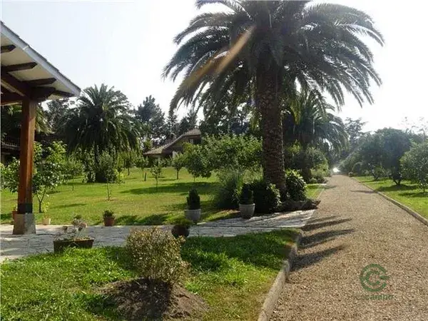 Finca de Lujo en Gijon con Chalet de 900m2 y 12000m2 de terreno