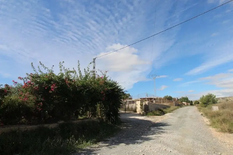 Venta Finca Rustica Vallongas Elche 4500m2