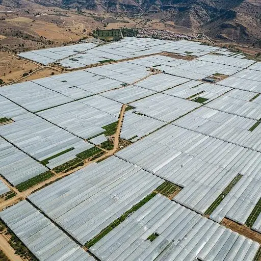 Venta Terreno 65000m2 Albaricoques Almacén Cámara Frigorífica