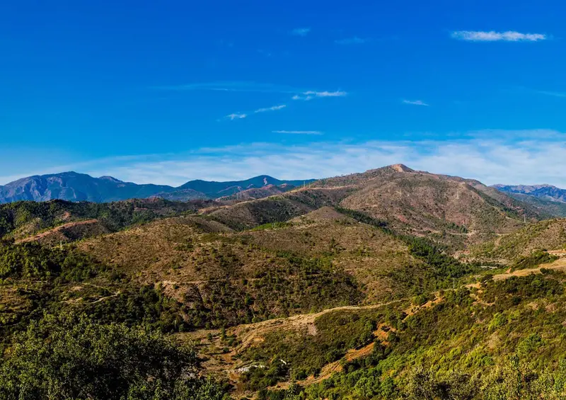 Terreno en Venta Benahavis: 12 Chalets de Lujo
