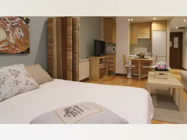 Estudio Sofisticado en Retiro Madrid