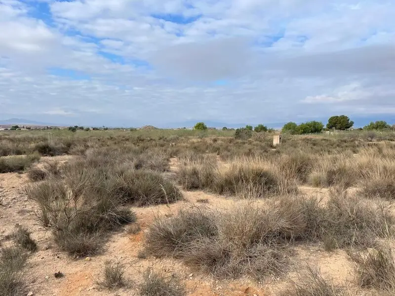 Terreno en Venta Los Munoces Alhama de Murcia