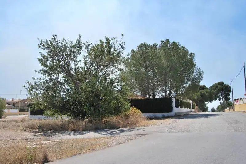 Venta Parcela Oasis St Vicent Lliria 435m2