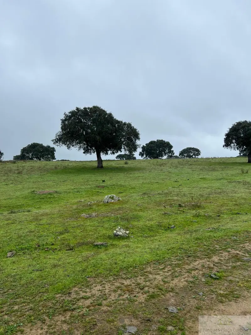 Venta Finca 330 Hectareas Zorita Ganado Turismo Rural