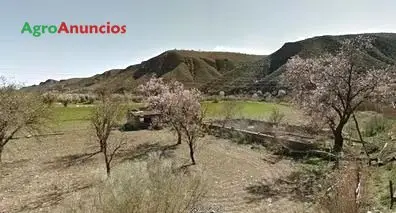 Venta  de Finca para hortícolas al aire libre en Almería