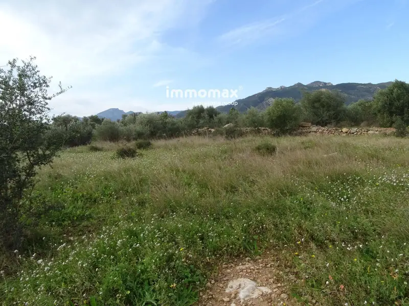Finca Rustica en Venta en Xerta Tarragona