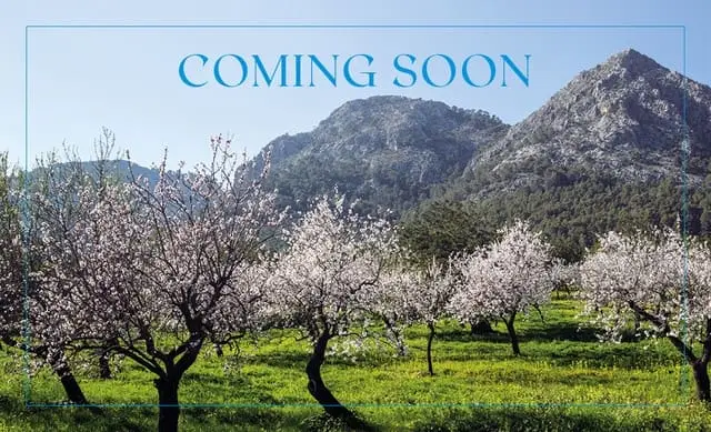 Finca Rustica 7 habitaciones Binissalem Mallorca