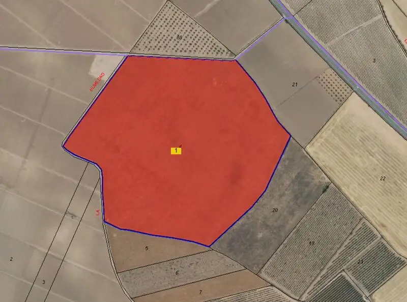 Terreno Agricola en Venta Yecla Murcia