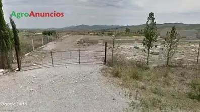 Venta  de Finca con instalaciones ganaderas en Almería