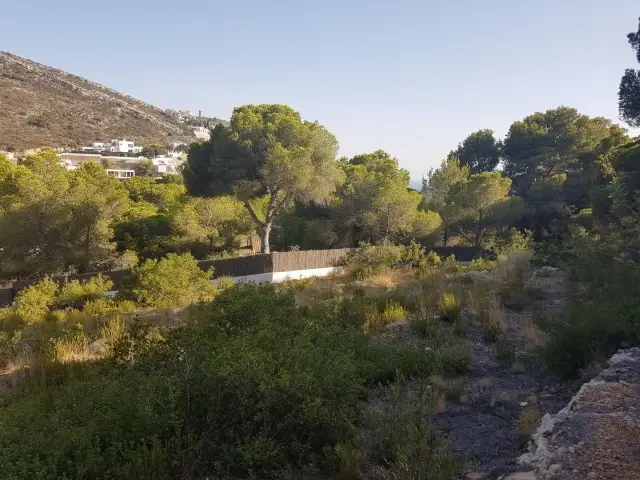 Terreno en Venta Moraira  Dos Parcelas Posibles