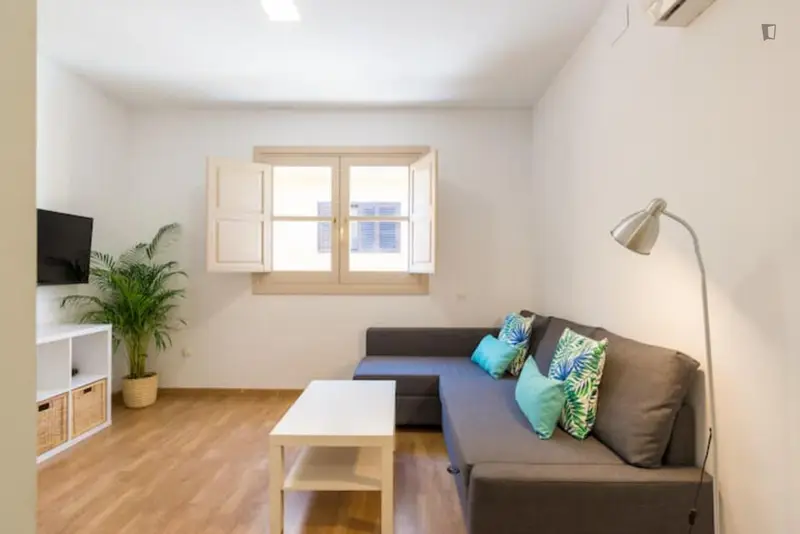 Apartamento 1 Dormitorio Malaga Centro