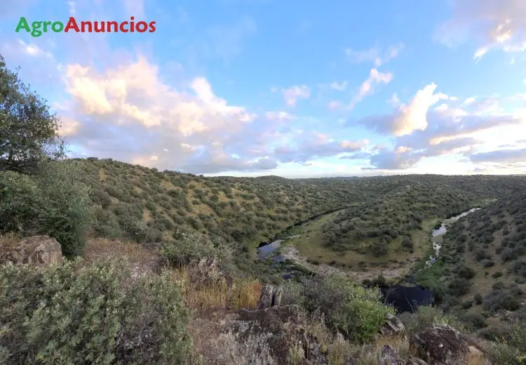 Venta  de Finca con naves y registro porcino en Cáceres