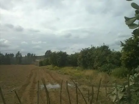 Venta Finca Cantillana 3 Hectareas Riego Naranjos